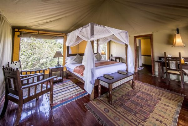 7 Days Honeymoon Ol Pejeta, Nakuru, Masai Mara Safari - Image 2