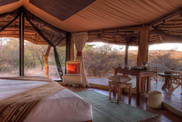 4 Days Honeymoon Lewa Wildlife Conservancy - Image 2